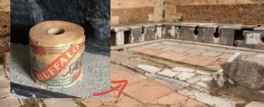 Ce foloseau oamenii înainte de inventarea hârtiei igienice? Nici nu te-ai fi gândit
