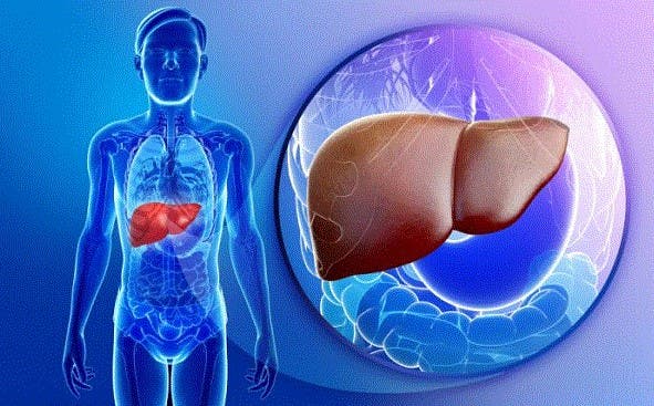 Ce este boala hepatică toxică și cum se manifestă