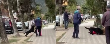 batrana atacata pe strada