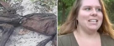 O femeie a găsit în grădină o creatură bizară, cu coadă lungă și patru picioare, care îi speria animalele: „Ce e asta?”