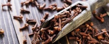 De ce să pui cuișoare la ușa de la intrare! Familia o să îți mulțumească pentru asta