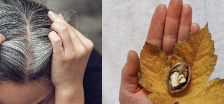 Cum scapi de firele albe cu frunze de nuc. O metodă naturală și eficientă de vopsire a părului