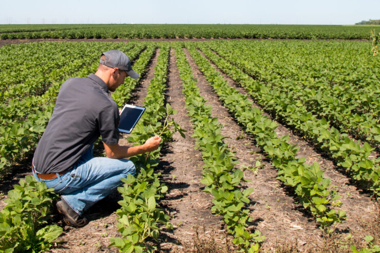 Veste bună pentru agricultori! Ce se întâmplă cu câmpurile din România 25 agricultori