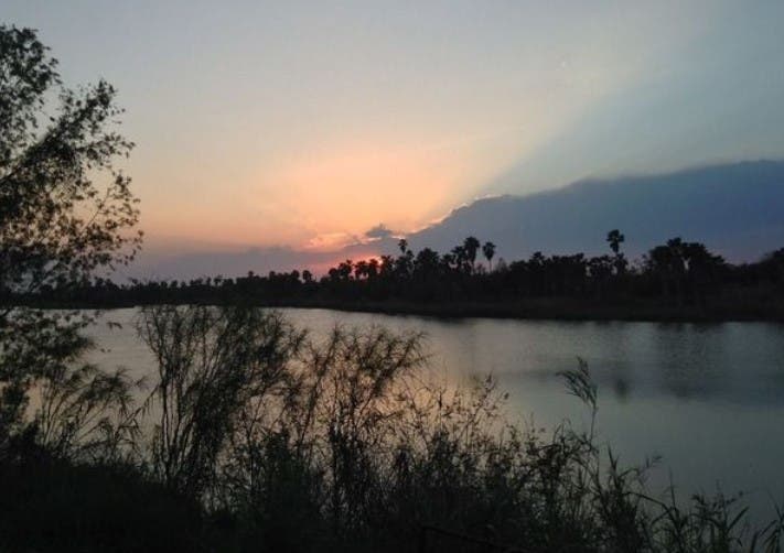 O creatură necunoscută a fost fotografiată noaptea într-un parc. Nimeni nu știe ce e! „Anchetăm acest mister”. Cum arată animalul