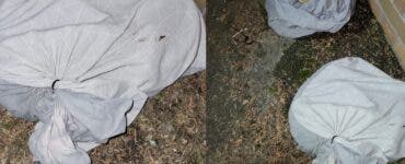 Ce a găsit o femeie într-un gunoi, în mai multe fețe de perne legate cu cabluri. Erau pe marginea unui drum