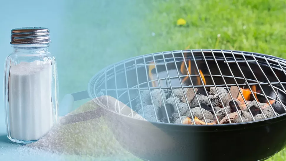 carne la gratar