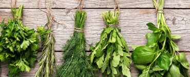 Planta toxică pe care o punem în ciorbă