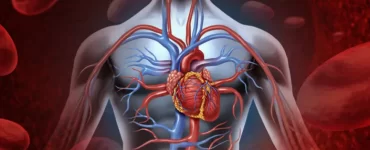 organul care se regenereaza