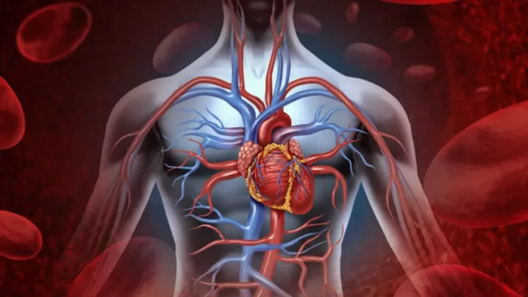 organul care se regenereaza
