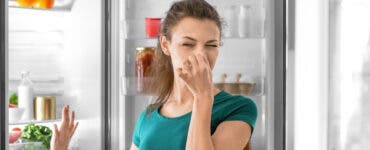 Cum să scapi de mirosul neplăcut din frigider