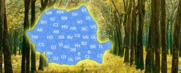 Vremea în România