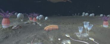 primul animal