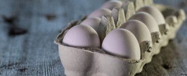 Trucul care te ajută să recunoști ouăle stricate. Ce să faci înainte de a le sparge