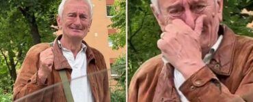 domnul vasile