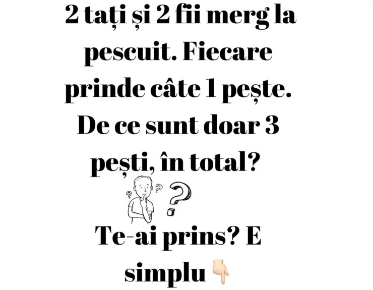 exercițiu logică