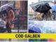 cod galben