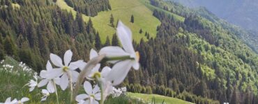 Locul din România unde nu ai voie să fotografiezi sau să filmezi. Ce a pățit o turistă care a folosit aparatul foto acolo