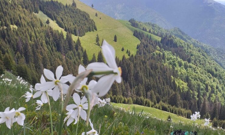 Locul din România unde nu ai voie să fotografiezi sau să filmezi. Ce a pățit o turistă care a folosit aparatul foto acolo