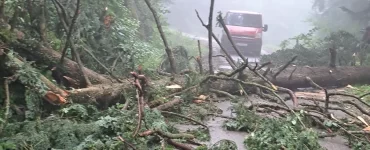 accident transalpina
