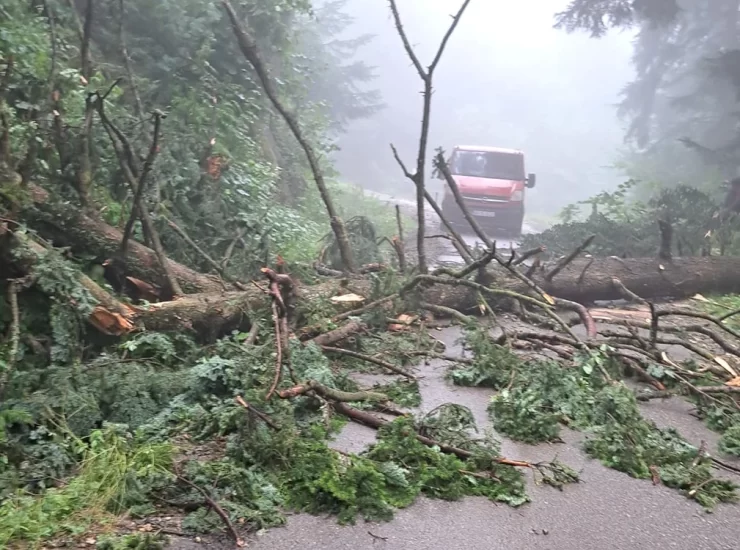 accident transalpina