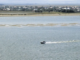 Accident naval grav pe Dunăre! Două persoane au fost date dispărute