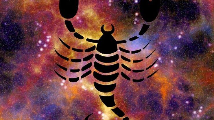 scorpion