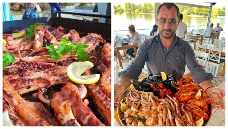 taverna racilor