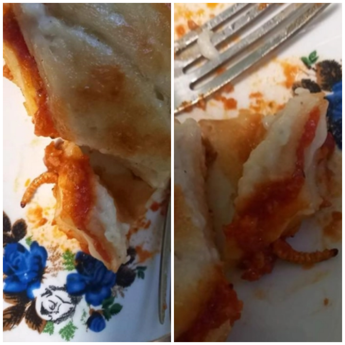 lasagna cu viermi lidl