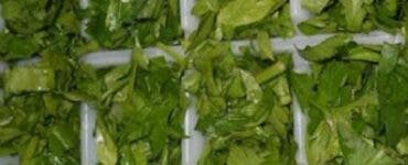 Cum să păstrezi pătrunjelul proaspăt și aromat peste iarnă? Trucul pe care nu ți l-a spus nimeni