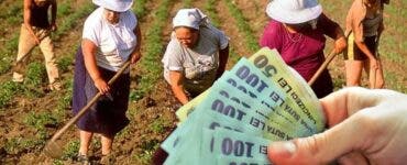salarii agricultori