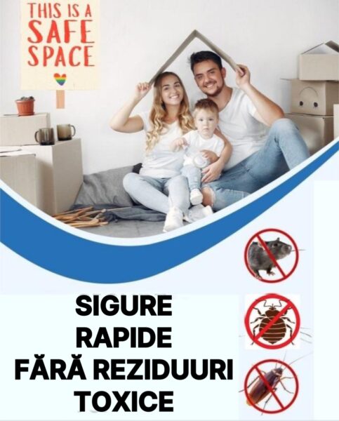 De unde luăm plosnițele acasă și cum ne ajută dr. Clean să le dăm afară 26 scapa de plosnite Dr Clean