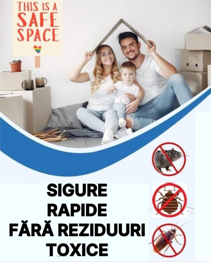 De unde luăm plosnițele acasă și cum ne ajută dr. Clean să le dăm afară 25 scapa de plosnite Dr Clean