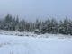 iarna