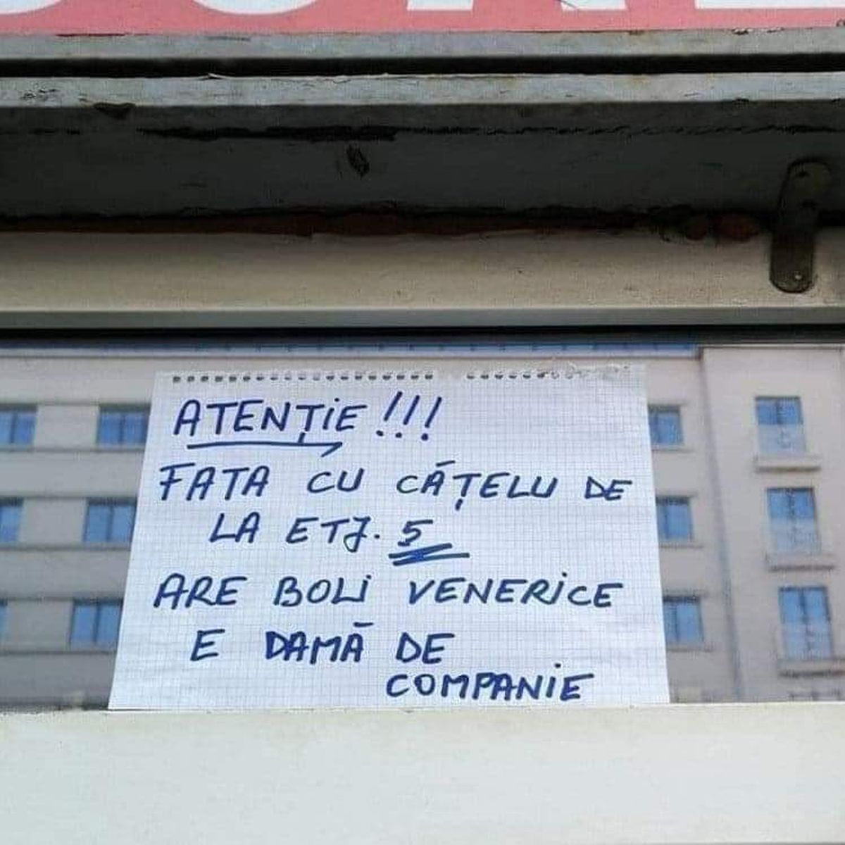 Afiș bloc