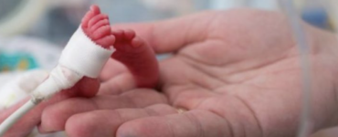 O botoșăneancă a născut gemene minuscule. Una dintre fetițe avea doar 390 de grame
