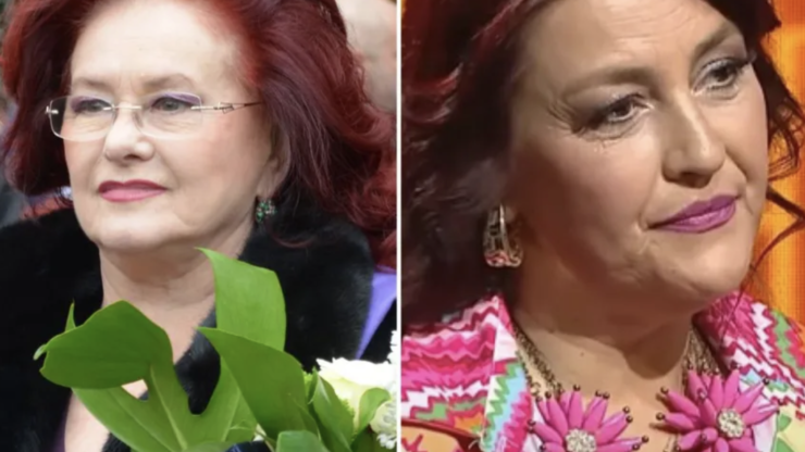 Legătura stranie dintre Rona Hartner și Stela Popescu! Coincidența care îți face pielea de găină instant! Puțină lume știe asta