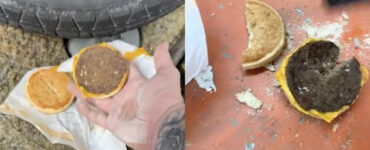Cheeseburger vechi de trei ani