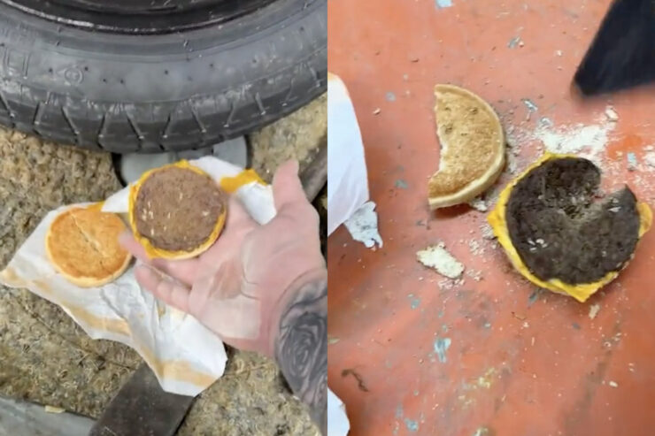 Incredibil! În ce stare a fost găsit un cheeseburger vechi de trei ani într-o mașină. Imaginile au făcut înconjurul internetului 25 Cheeseburger vechi de trei ani