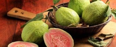 fruct de guava