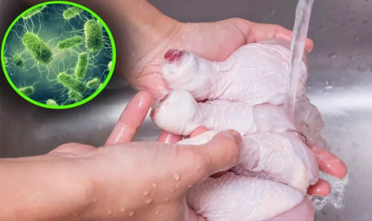 alerta carne de pui