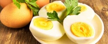 Câte ouă trebuie să mânânci, maximum, într-o săptămână, în funcție de vârstă? Tot ce trebuie să știi