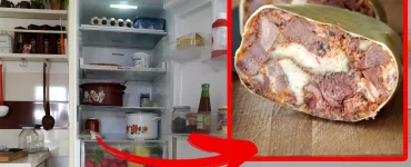 toba de porc frigider