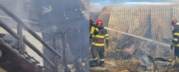 Tatăl Ancăi Gavrilă cere să se facă dreptate în cazul tragediei de la Ferma Dacilor.