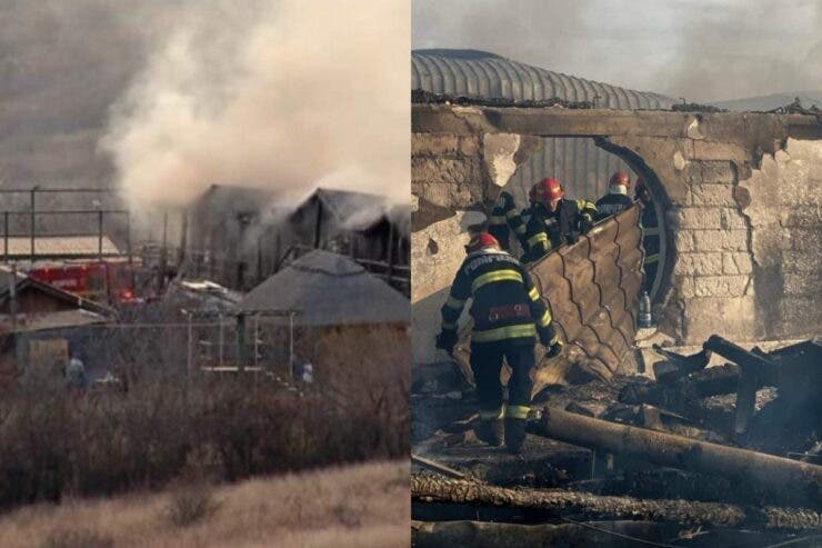 Noi detalii în cazul tragediei petrecute la Ferma Dacilor.