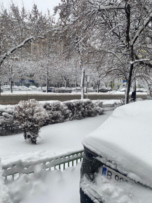 Imaginile dimineții. Iarna s-a întors în forţă şi a cuprins România. Cum arată străzile Capitalei acoperite cu zăpadă de 17 cm (FOTO) 26 anm