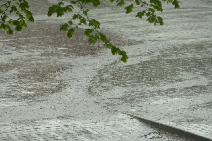 Schimbări meteorologice dramatice: Luna februarie aduce temperaturi neobișnuit de ridicate și variații bruște în precipitații 25 Cum va fi vremea în februarie 2024?!