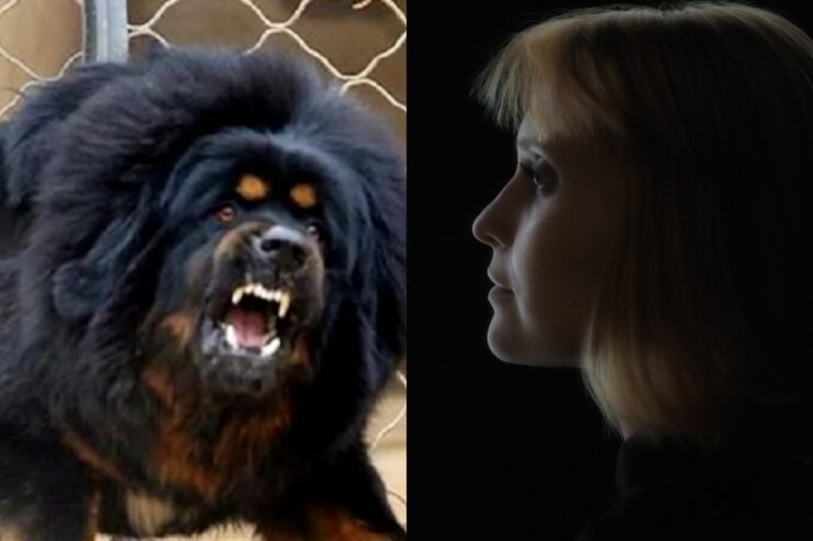 O femeie creștea un urs negru asiatic crezând că este câine.