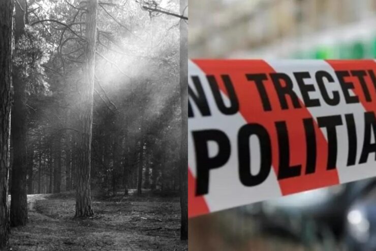 Descoperire șocantă: O doctoriță, de 43 de ani, a fost găsită inconștientă într-o pădure de lângă Bragadiru 25 O doctoriță de 43 de ani a fost găsită inconștientă în pădure.