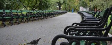 Copiii care au atins bobițele albastre din Parcul Cișmigiu au ajuns la spital.