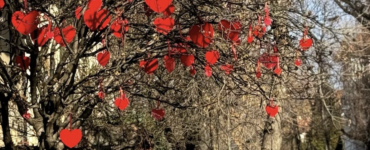 Sursa foto: Redacția.ro